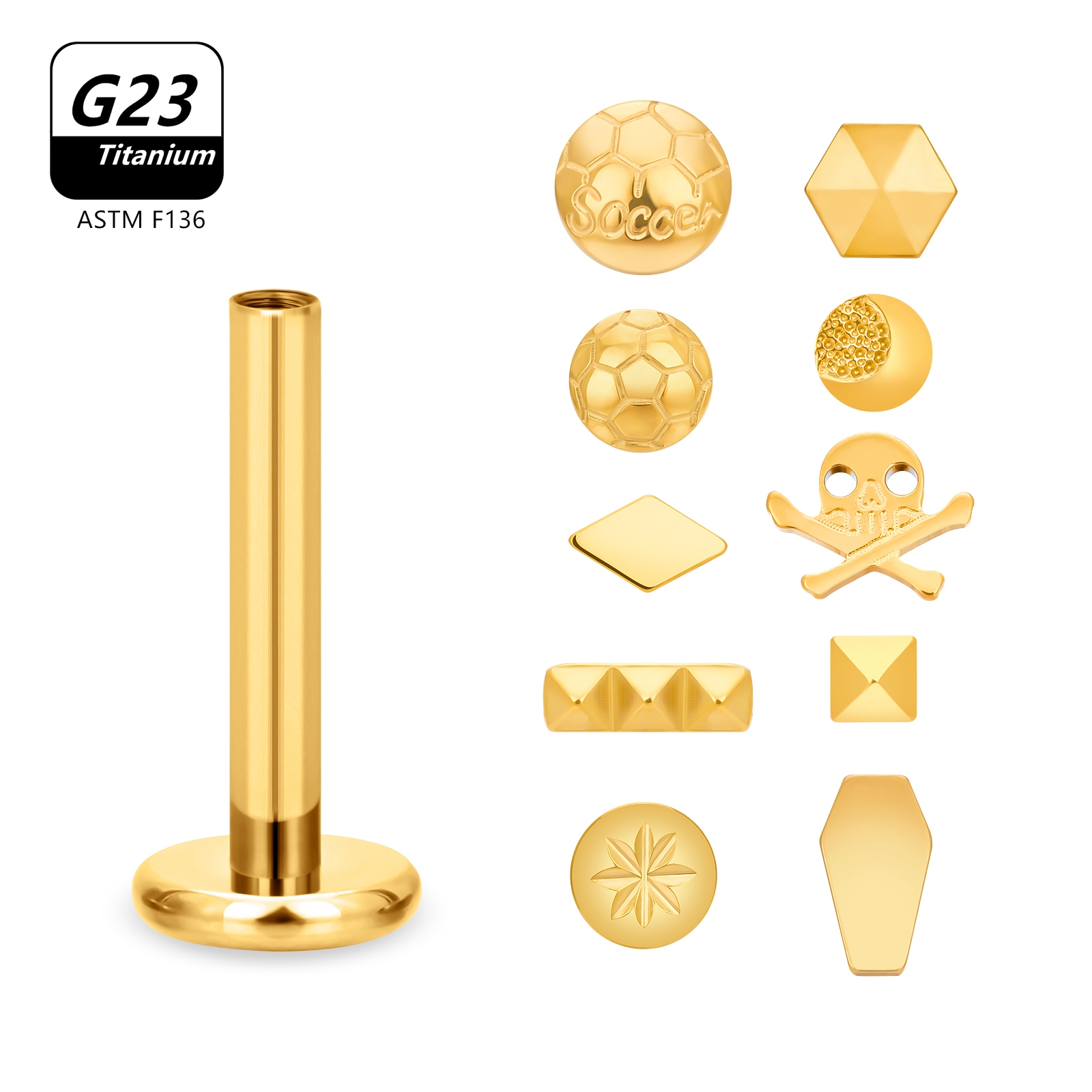 10PCS 16G G23 Titanium Stud Sk - Body Jewelry Labret review and price
