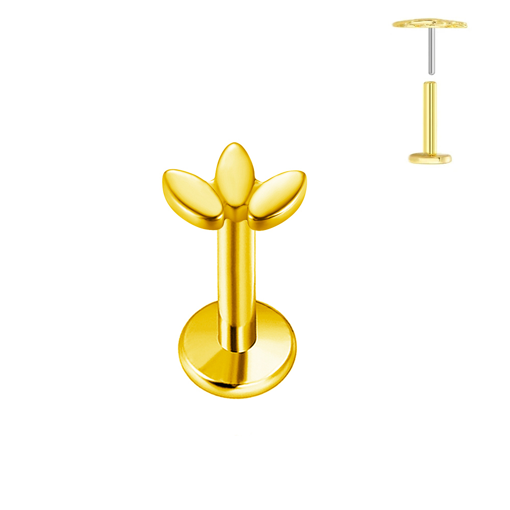 ASTM F136 G23 Titanium Heart-s - Body Jewelry Labret review and price